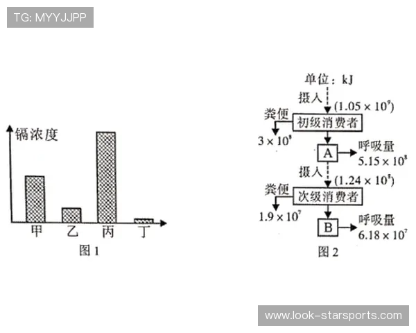 孔帕尼试验三中卫体系边路回防强度显著提升分析 孔帕尼试验三中卫体系边路回防强度显著提升分析